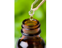 Eucalyptus 80/85 Essential Oil Supplier and Distributor of Bulk, LTL, Wholesale products