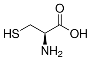 L-Cysteine Supplier and Distributor of Bulk, LTL, Wholesale products